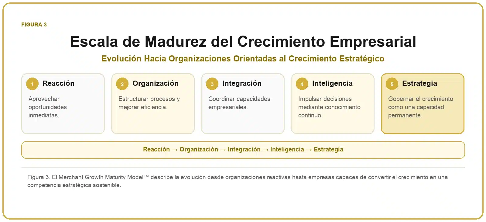 Framework de Crecimiento para Comercios 3 Escala de madurez del crecimiento empresarial con los niveles reacción, organización, integración, inteligencia y estrategia.