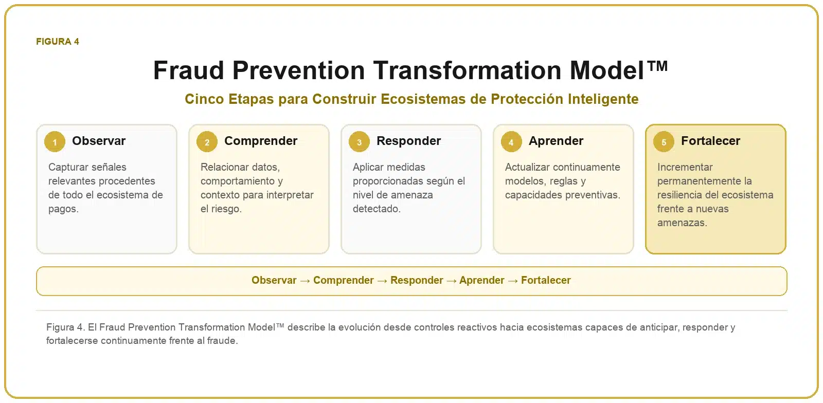 Framework de Prevención del Fraude 4 Modelo de transformación de la prevención del fraude mediante cinco etapas: observar, comprender, responder, aprender y fortalecer.